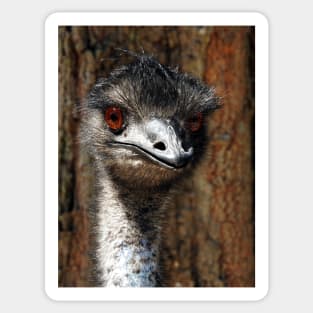 Emu Sticker